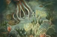 寒武纪至今的长寿生物：珊瑚家族