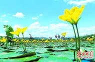 莲石湖京西漫步道：古老永定河的绿色新生