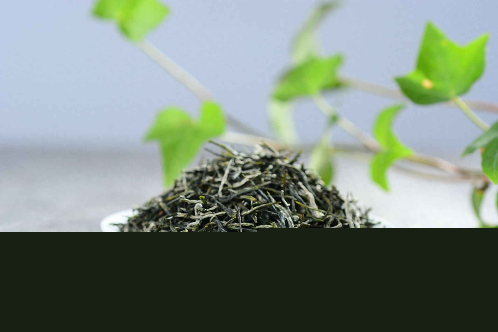黄茶的功效与禁忌您知道多少？